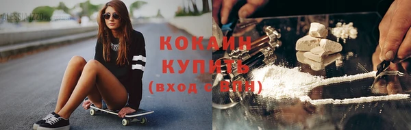 дживик Няндома