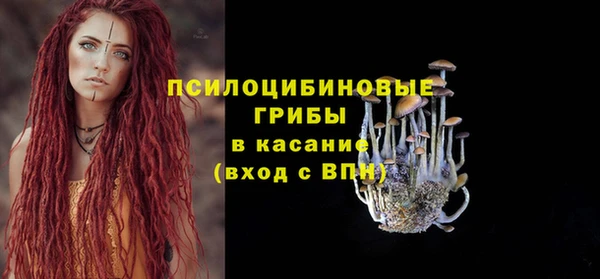 твердый Нягань
