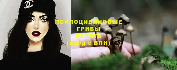 дурь Нязепетровск