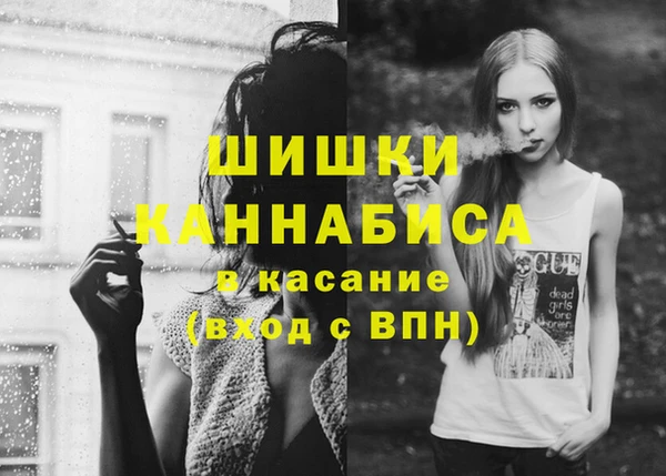 дживик Няндома