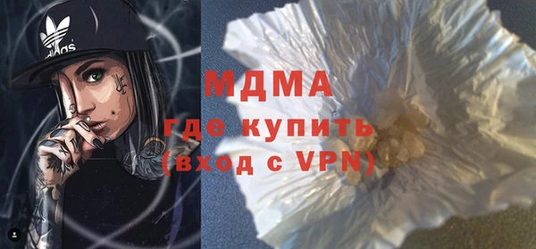 дживик Няндома